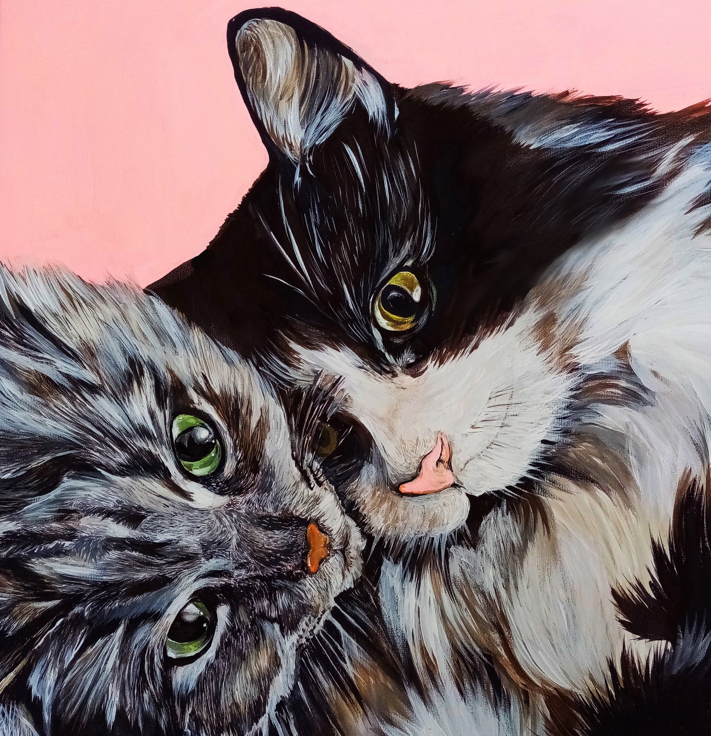 Retrato de mascota en óleo 50x50 a pedido .