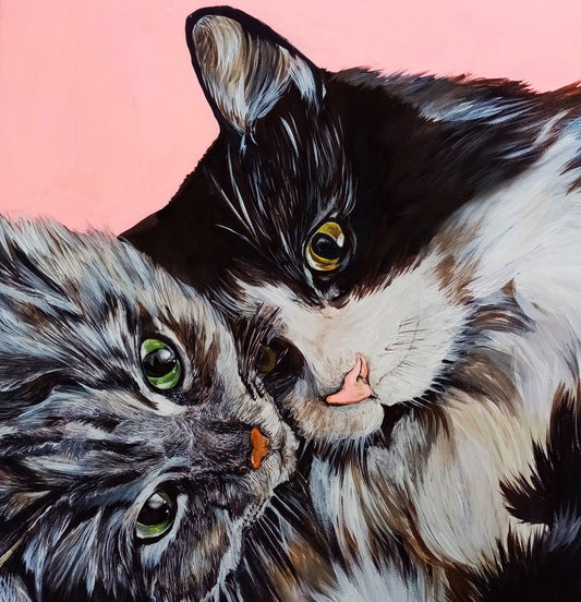 Retrato de mascota en óleo 50x50 a pedido .