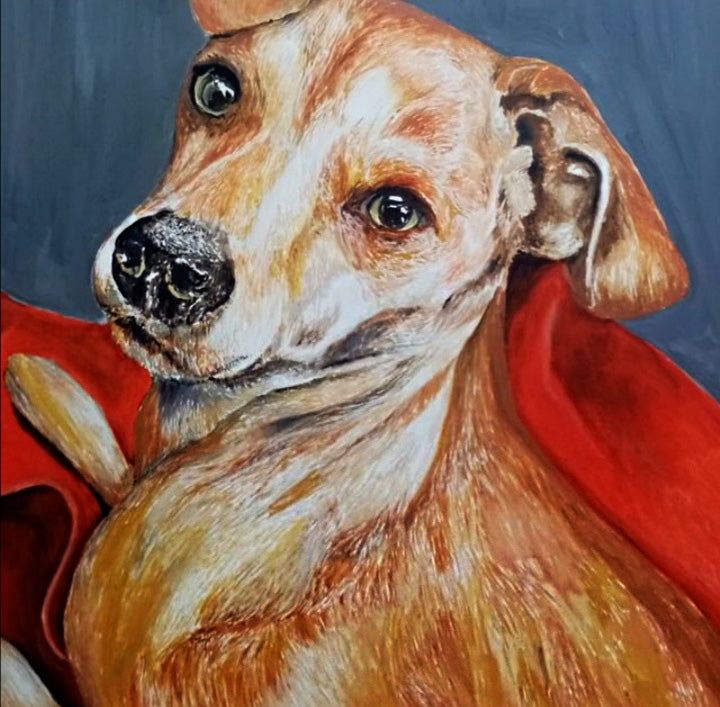Retrato de mascota en óleo 50x50 a pedido .